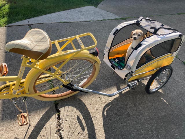 group rides