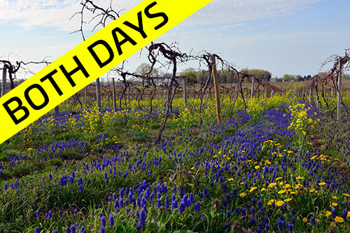 Bike Wine Country | BOTH DAYS